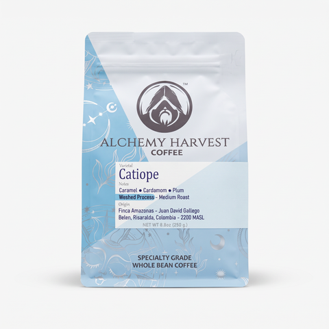 Catiope - Washed
