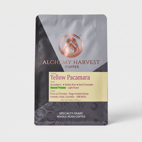 Yellow Pacamara - Natural
