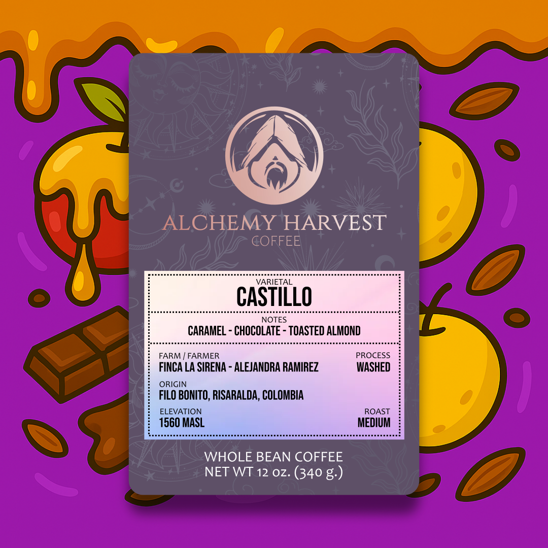 Castillo - Washed