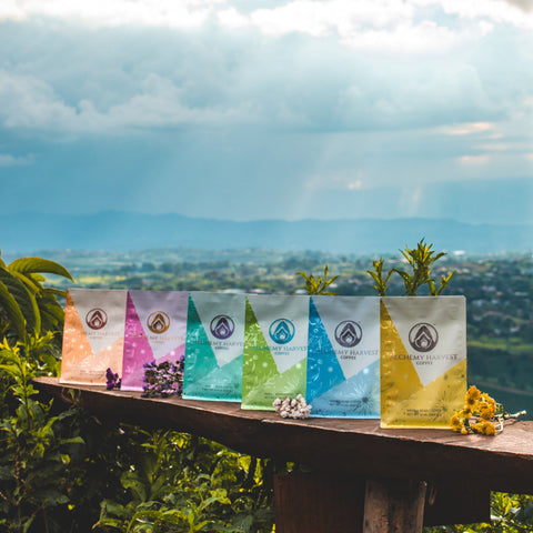 Five colorful coffee bags on a wooden surface with a scenic background of mountains and trees.