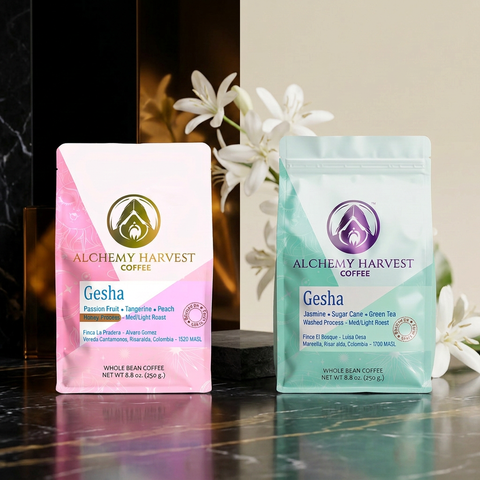 Gesha Duo