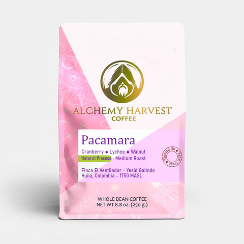 Alchemy Harvest Coffee Pacamara coffee package on a white background