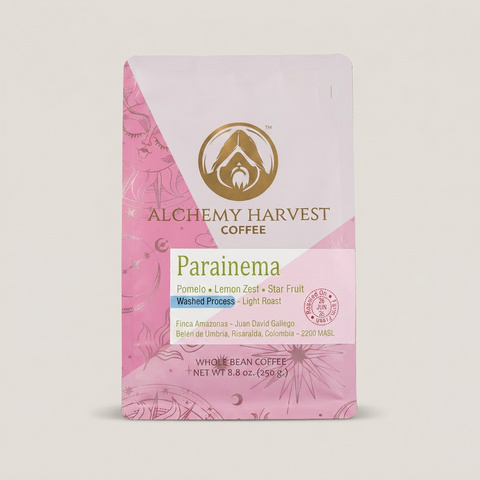 A package of Alchemy Harvest Coffee's Parainema whole bean coffee, featuring a pink and white design with a gold logo, set against a solid light gray background.