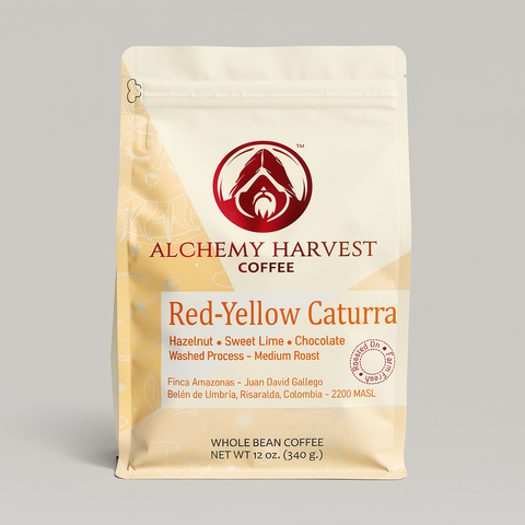 Alchemy Harvest Coffee package on a gray background