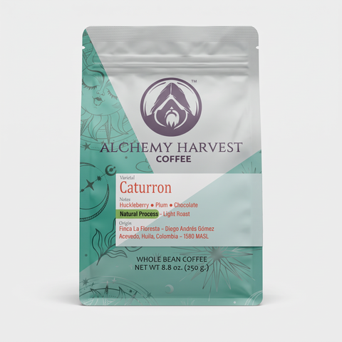 A 8.8 oz bag of Alchemy Harvest Coffee Caturrón whole bean coffee, featuring a silver and teal design with a white label, set against a plain white background.