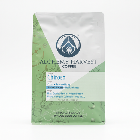 Chiroso - Washed