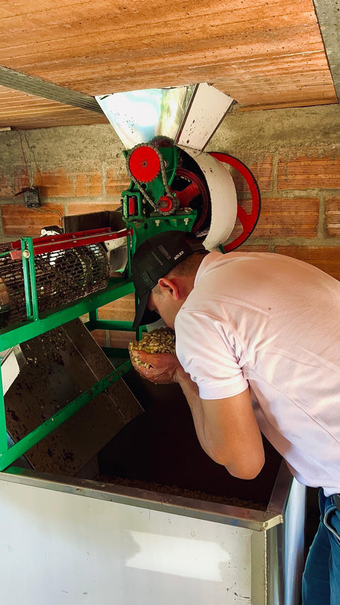 Nelson Urrego milling coffee at Finca Granito de Oro - Alchemy Harvest Coffee