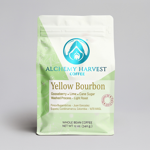 Alchemy Harvest Coffee Yellow Bourbon package on a gray background
