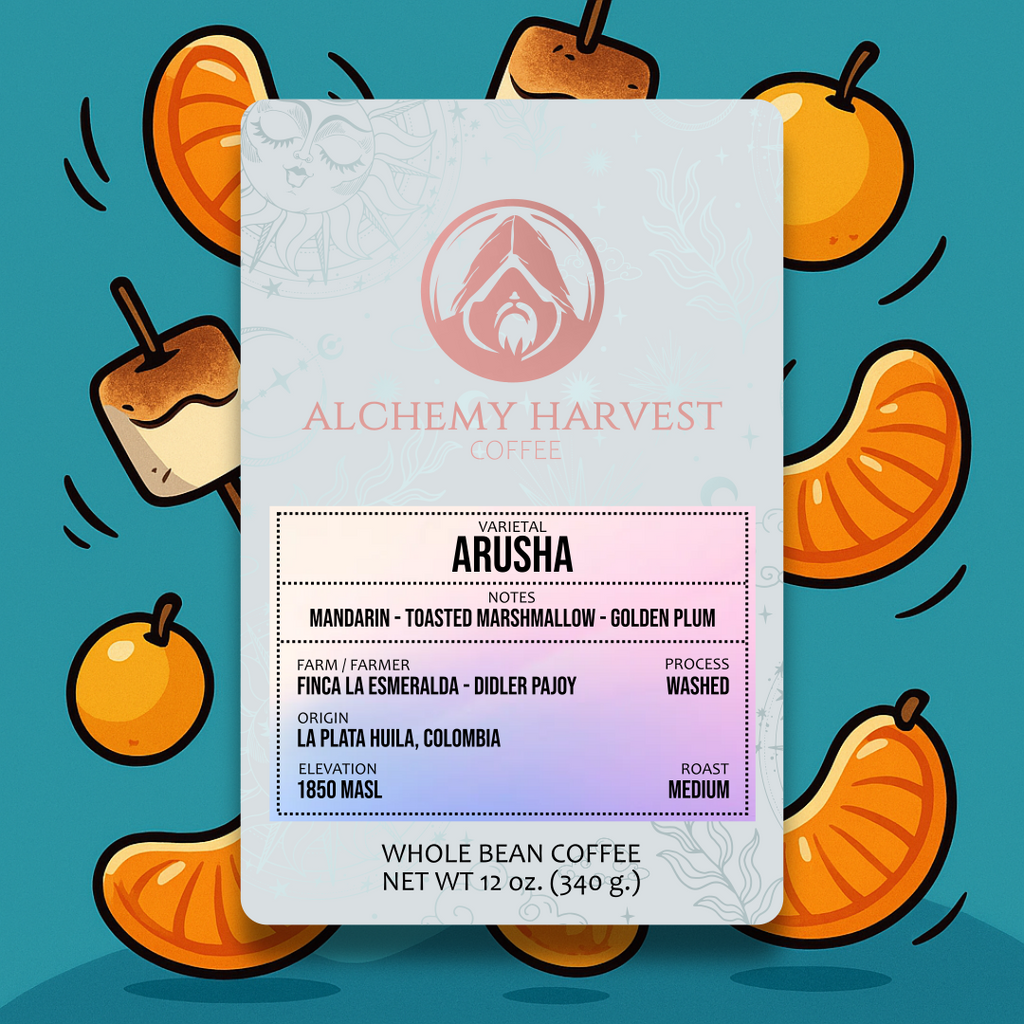 Arusha - Washed