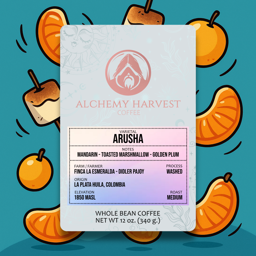 Arusha - Washed