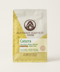 A 12 oz bag of Alchemy Harvest Coffee Caturra, medium roast whole bean coffee, shown on a clean off-white background. The packaging features a white top half, a yellow-gold patterned lower-left section, and a cream-colored label in the center with green and brown text.