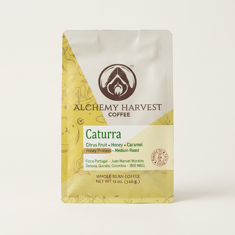 A 12 oz bag of Alchemy Harvest Coffee Caturra, medium roast whole bean coffee, shown on a clean off-white background. The packaging features a white top half, a yellow-gold patterned lower-left section, and a cream-colored label in the center with green and brown text.