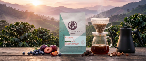 A bag of Alchemy Harvest Coffee Cahuiton stands on a wooden table in a coffee farm setting with rolling green hills at sunrise. The scene includes a glass pour-over coffee maker, a black gokuro kettle, blueberries, sliced fruit, and nuts.