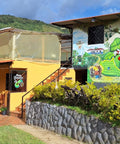 House Finca Granito de Oro, Antioquia Colombia with a colorful mural on the side, surrounded by greenery and mountains.