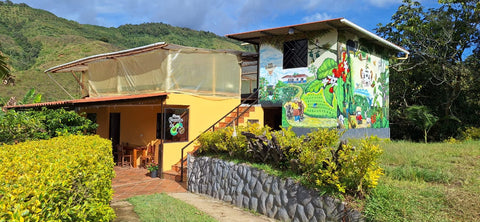 House Finca Granito de Oro, Antioquia Colombia with a colorful mural on the side, surrounded by greenery and mountains.