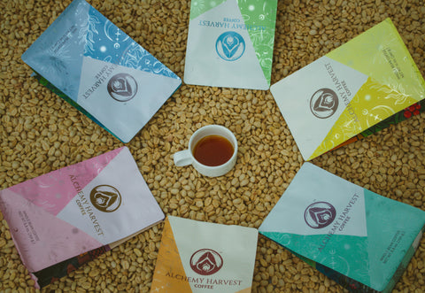 Dan and Cat in Finca Bugambilias