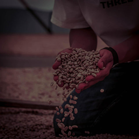 Pink Bourbon - Washed Espresso