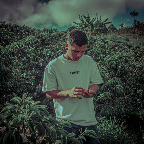 Alchemy Harvest Coffee -Marlon Bolaños in his farm inspecting his fresh coffee pick