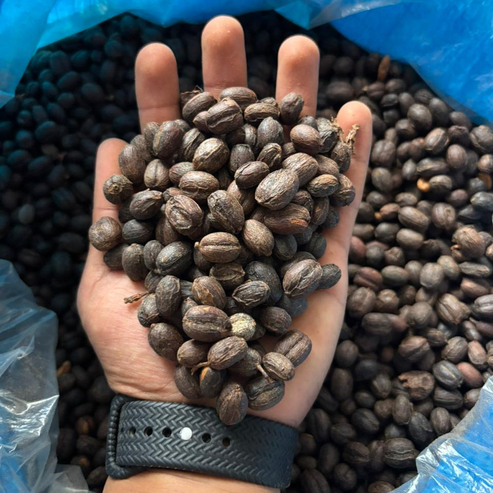 Pink Bourbon - Washed