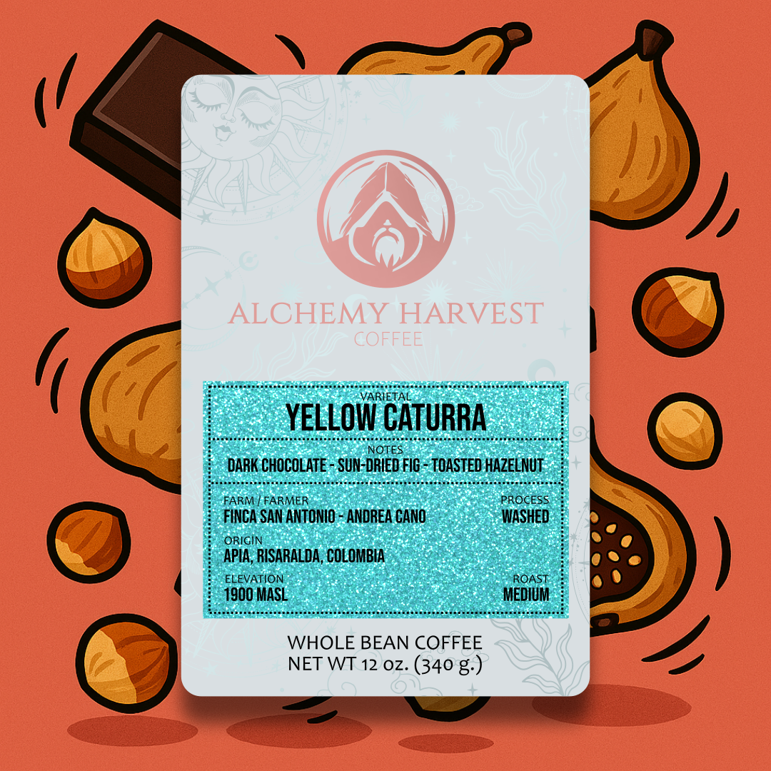 Yellow Caturra - Washed