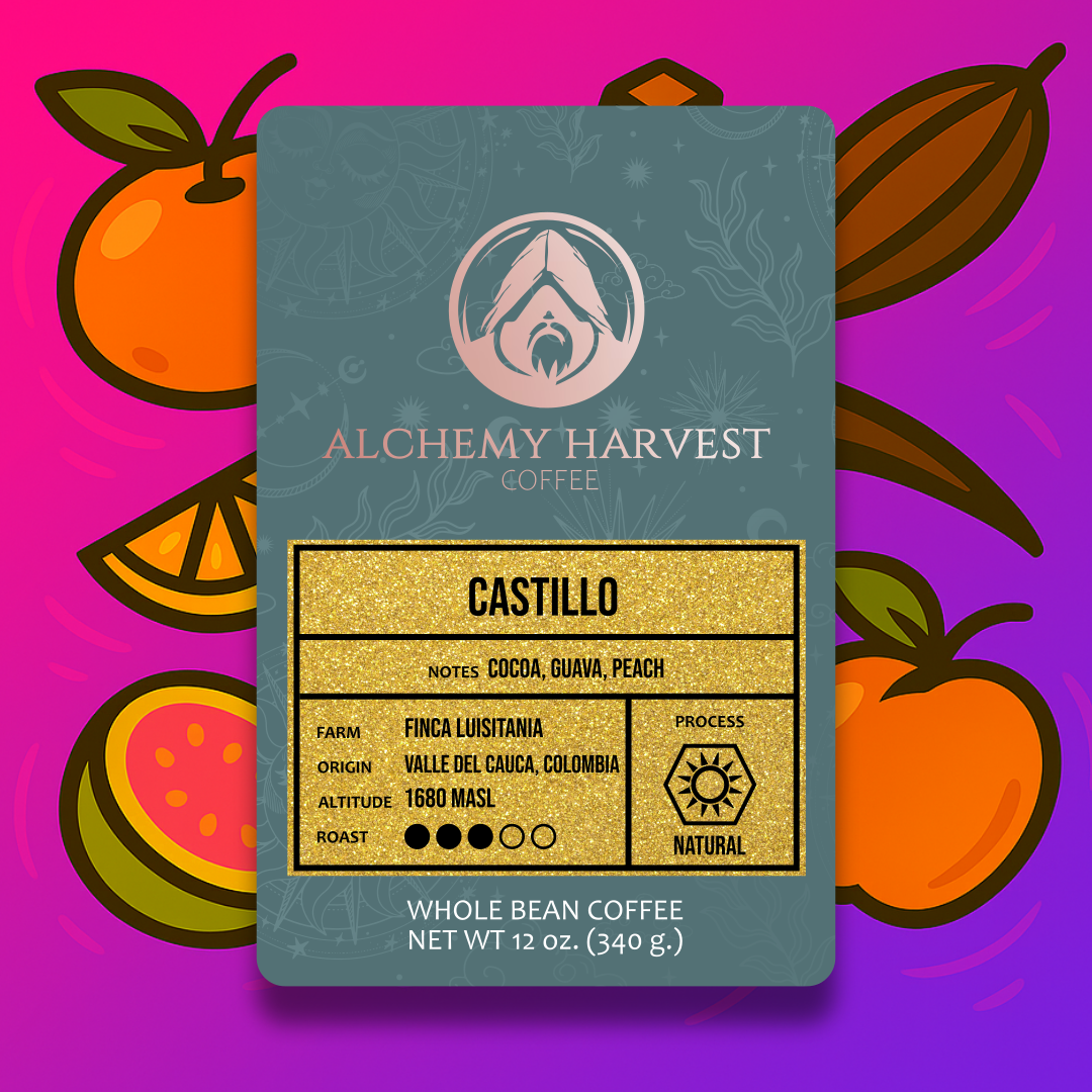 Finca Lusitania Castillo coffee beans with cocoa and tropical fruit notes