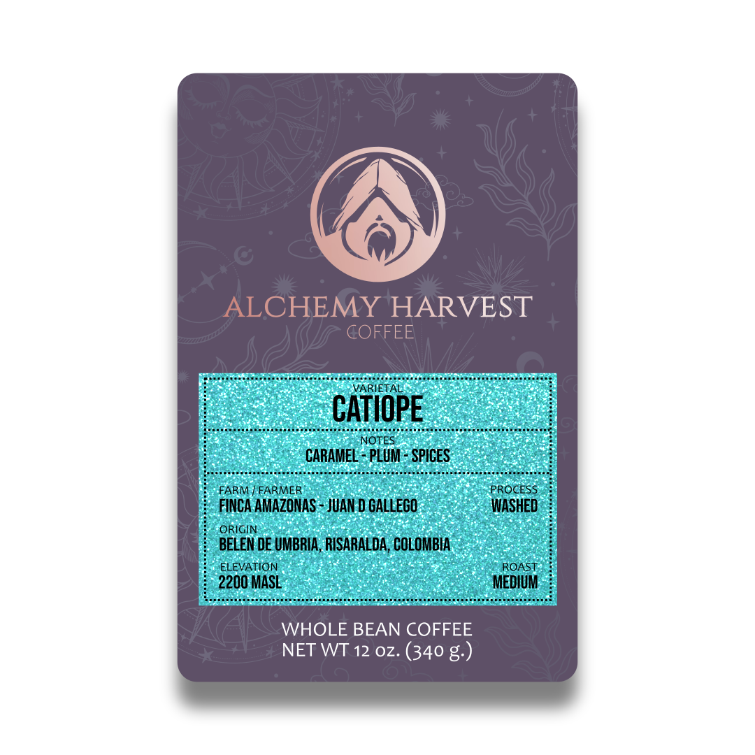 Catiope coffee beans from Finca Amazonas, Colombia