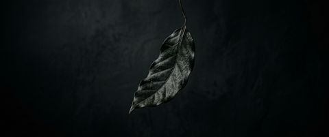 A single dried dark leaf hanging from a thin stem against a dark textured background.