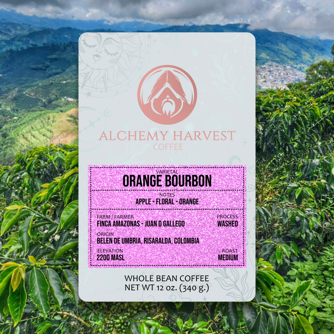 Orange Bourbon - Washed