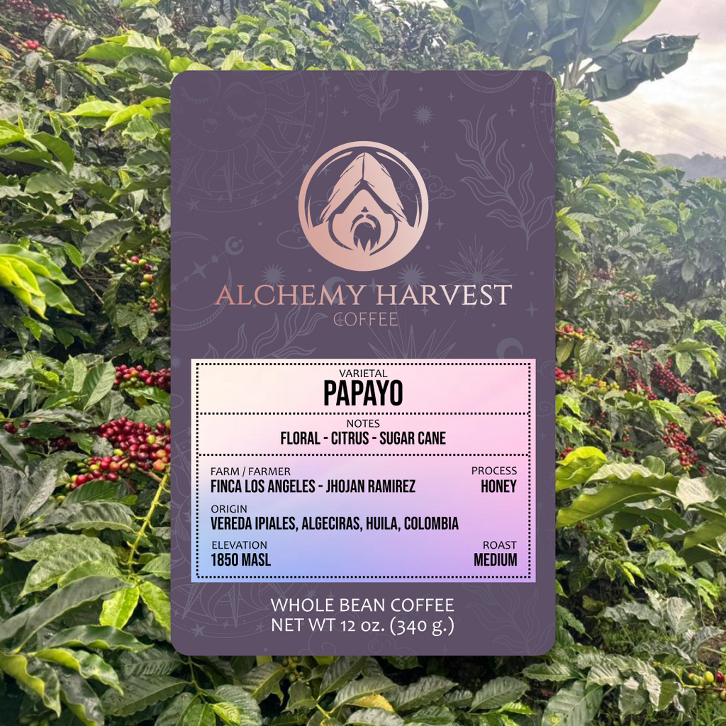 Bourbon Papayo coffee beans from Finca Los Angeles, Colombia