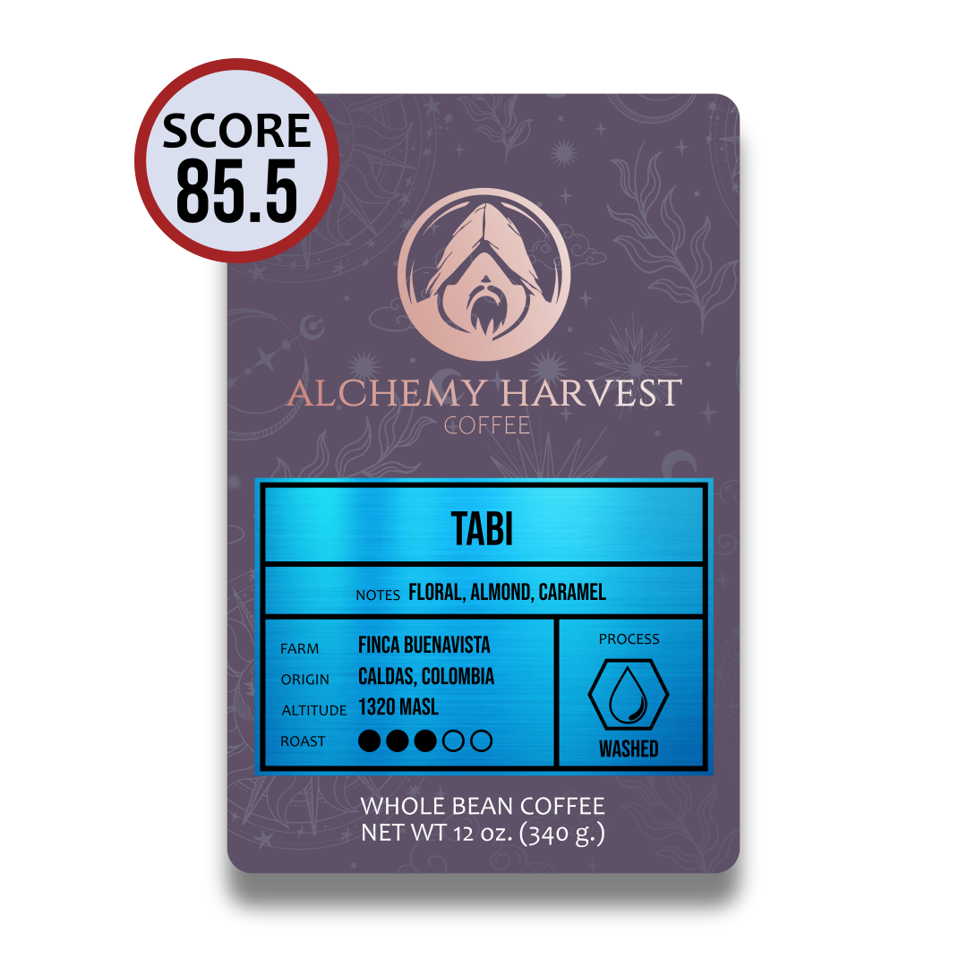 Tabi - Washed