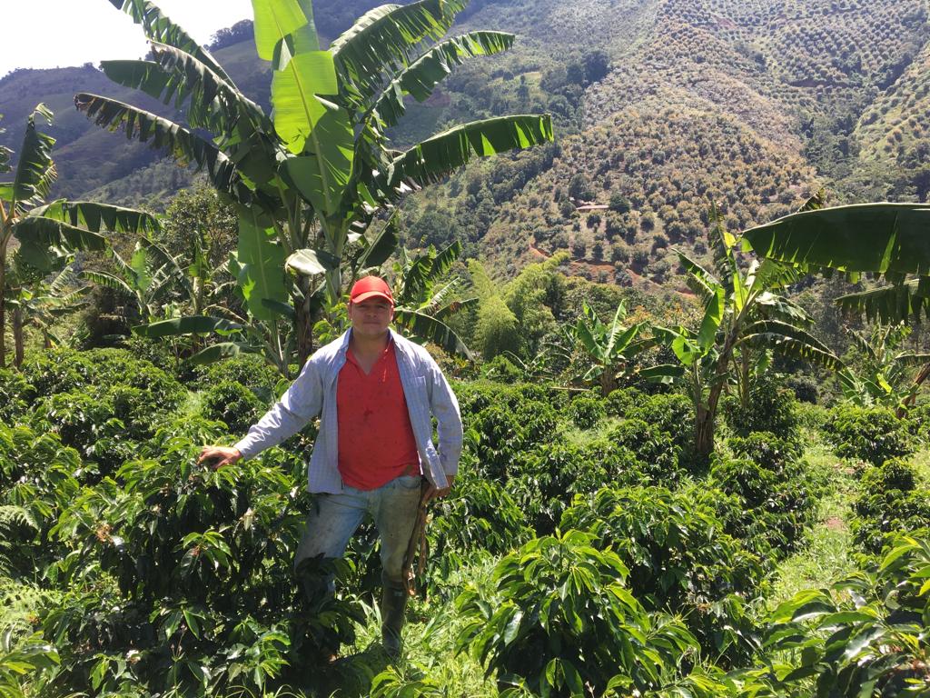 Nelson Urrego standing among coffee plants with a mountainous landscape in the background