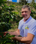 Alchemy Harvest Coffee - Coffee producer Nelson Urrego Picking up Chisroso Coffee from his farm Finca Granito de Oro in Antioquia Colombia