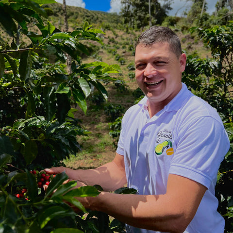 Alchemy Harvest Coffee - Coffee producer Nelson Urrego Picking up Chisroso Coffee from his farm Finca Granito de Oro in Antioquia Colombia