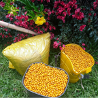 Yellow Bourbon - Washed