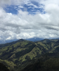 Coffee farm in Risaralda, Colombia with Gesha and Pink Bourbon varietals