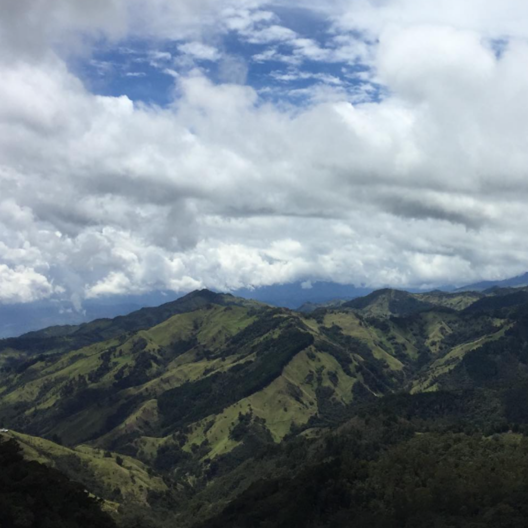Coffee farm in Risaralda, Colombia with Gesha and Pink Bourbon varietals